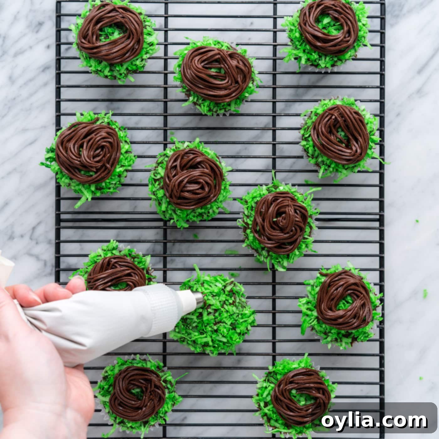 piping on chocolate frosting on top of coconut flake cupcakes