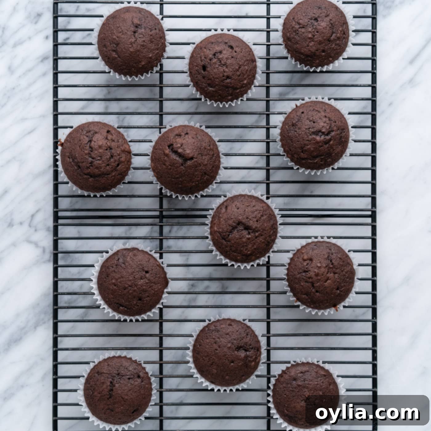 chocolate cupcakes cooling on a wire rack