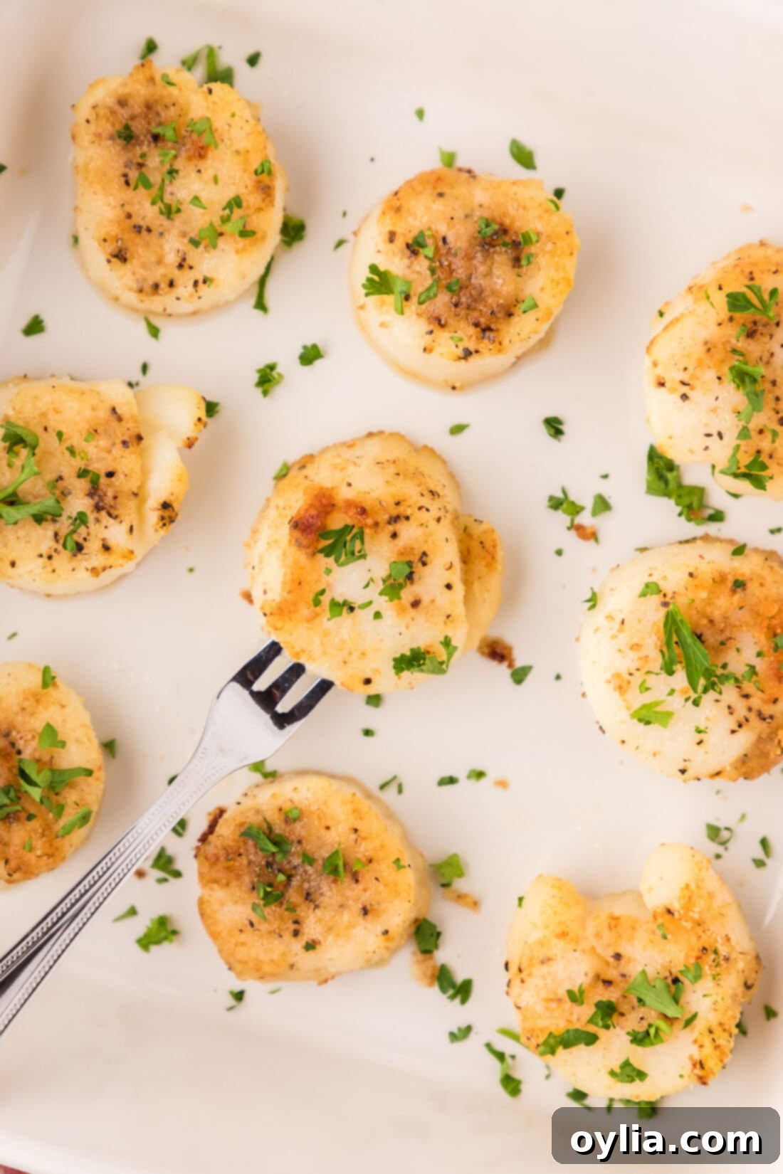 Close up of perfectly baked scallops garnished with fresh herbs in a white serving dish with a seafood platter in the background
