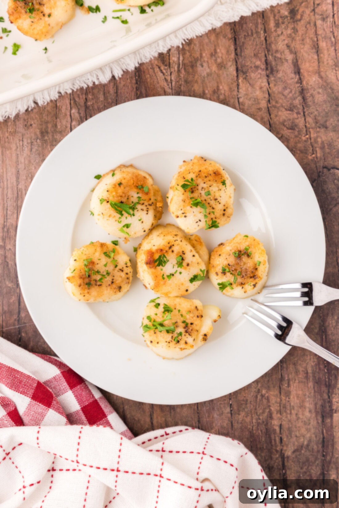 A beautifully arranged plate of golden baked scallops