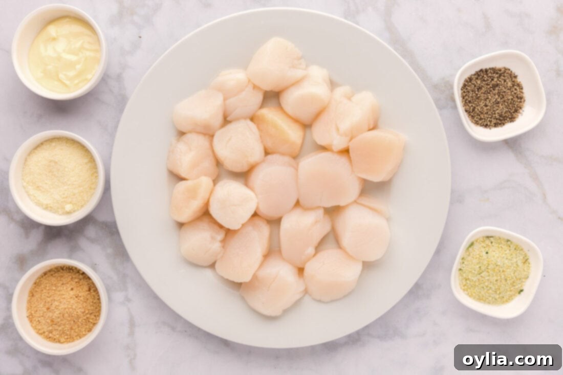 Spread of fresh ingredients for baking scallops, including sea scallops, butter, parmesan cheese, bread crumbs, garlic salt, and black pepper