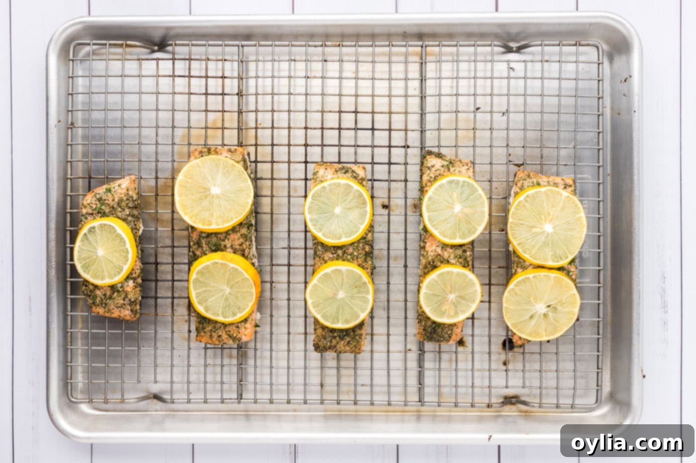 Freshly baked dill salmon fillets adorned with bright lemon slices, glistening and perfectly cooked after coming out of the oven.