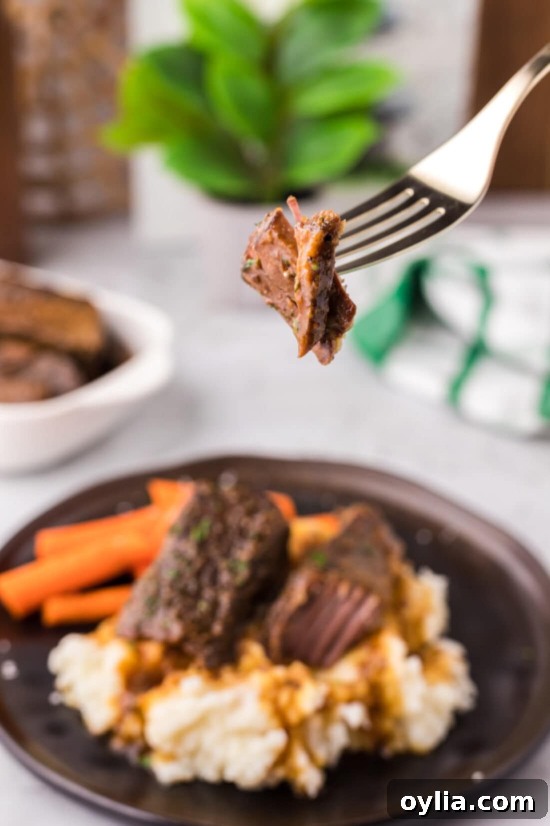 A perfectly cooked, tender boneless beef short rib lifted on a fork, showcasing its melt-in-your-mouth texture.