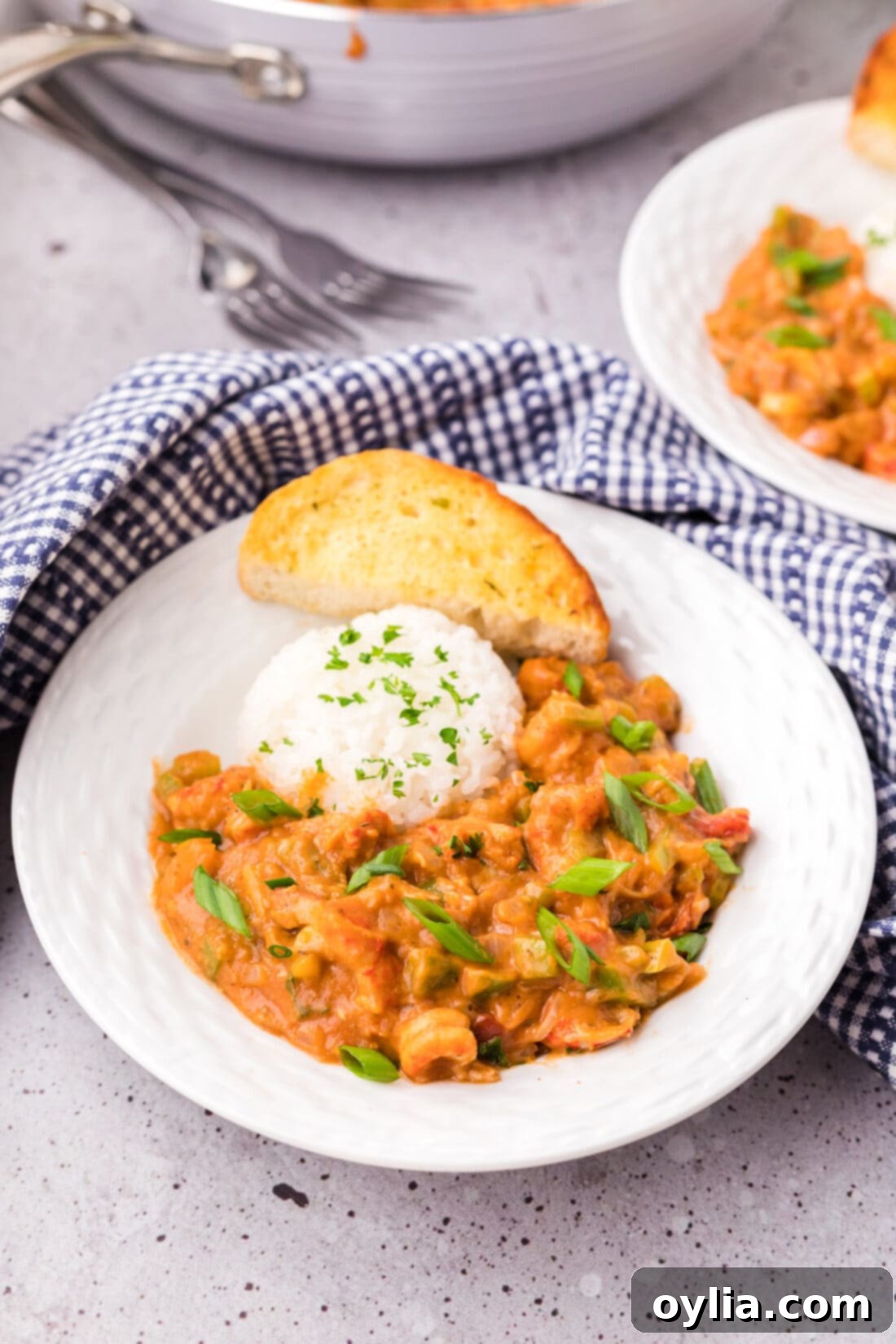 Bowl of Crawfish Etoufee served with fluffy white rice and a piece of crusty bread, garnished with green onions.