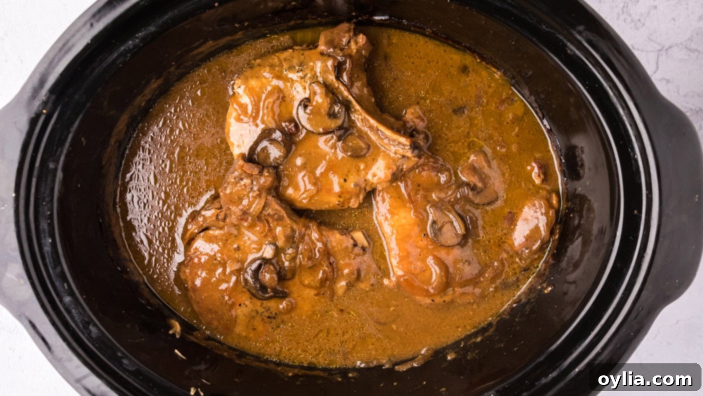 brown gravy crockpot pork chops
