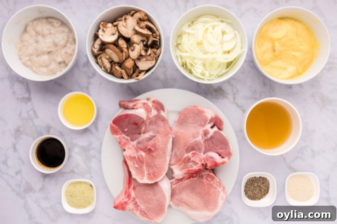 Ingredients for Crockpot Pork Chops