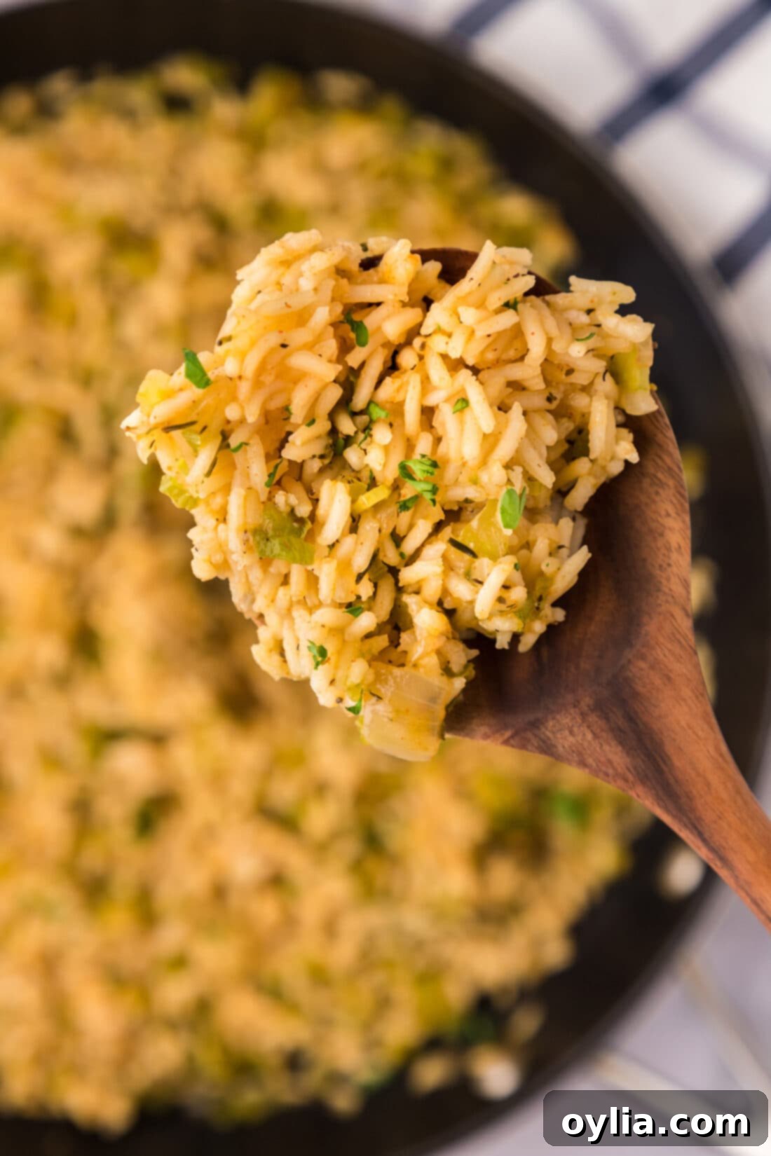 Close up photo of a spoonful of Cajun Rice