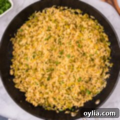 Cajun Rice in a skillet