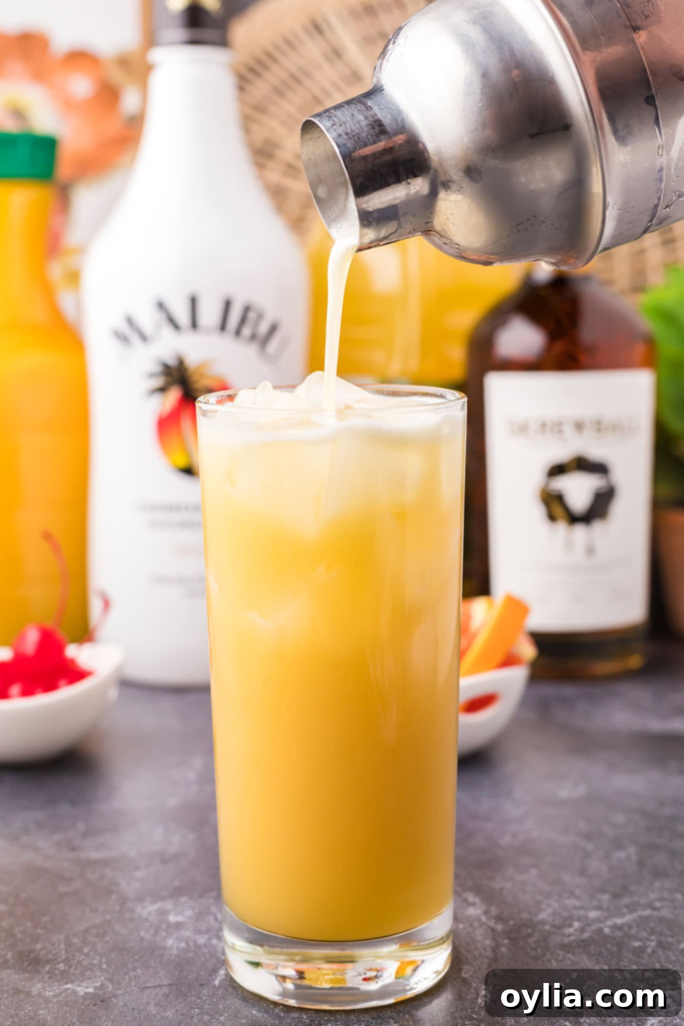 pouring screw loose cocktail into a glass