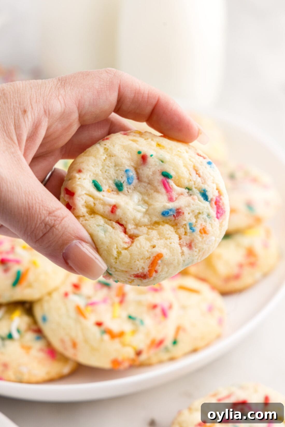 Confetti Cake Cookie Bliss 9 Hand holding a single Funfetti Cake Mix Cookie, highlighting its colorful sprinkles and soft texture.
