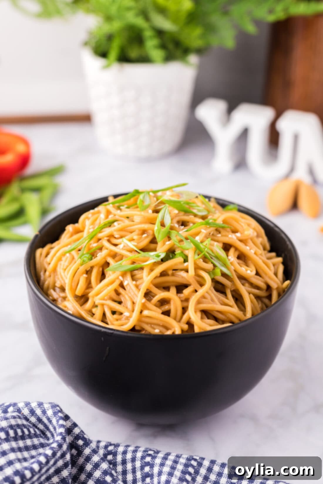 Teriyaki Noodles topped with homemade sauce