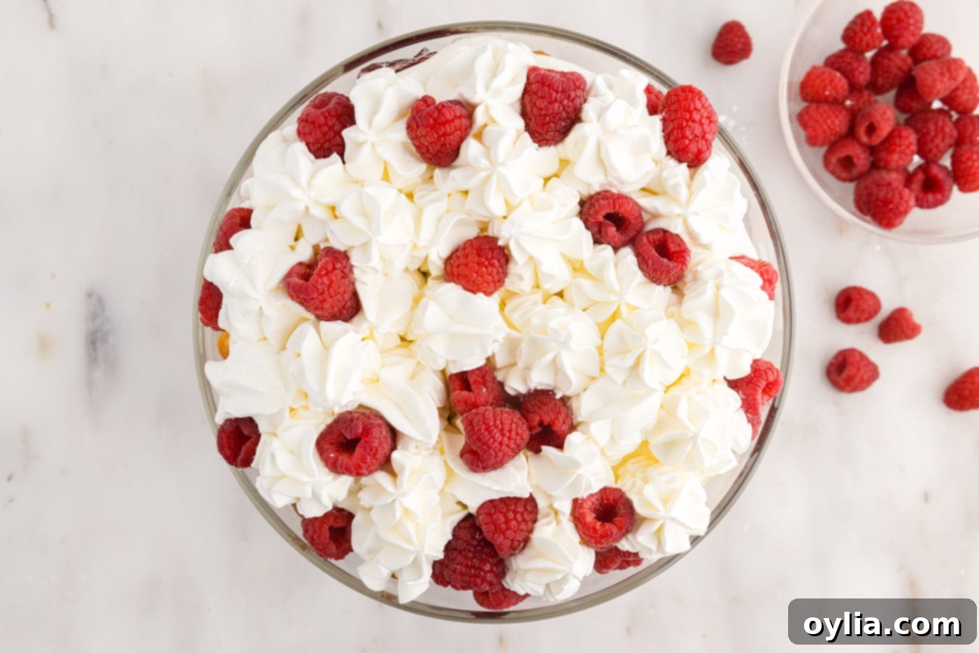 raspberries on top of raspberry trifle