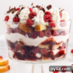 Close up side shot of a Raspberry Trifle