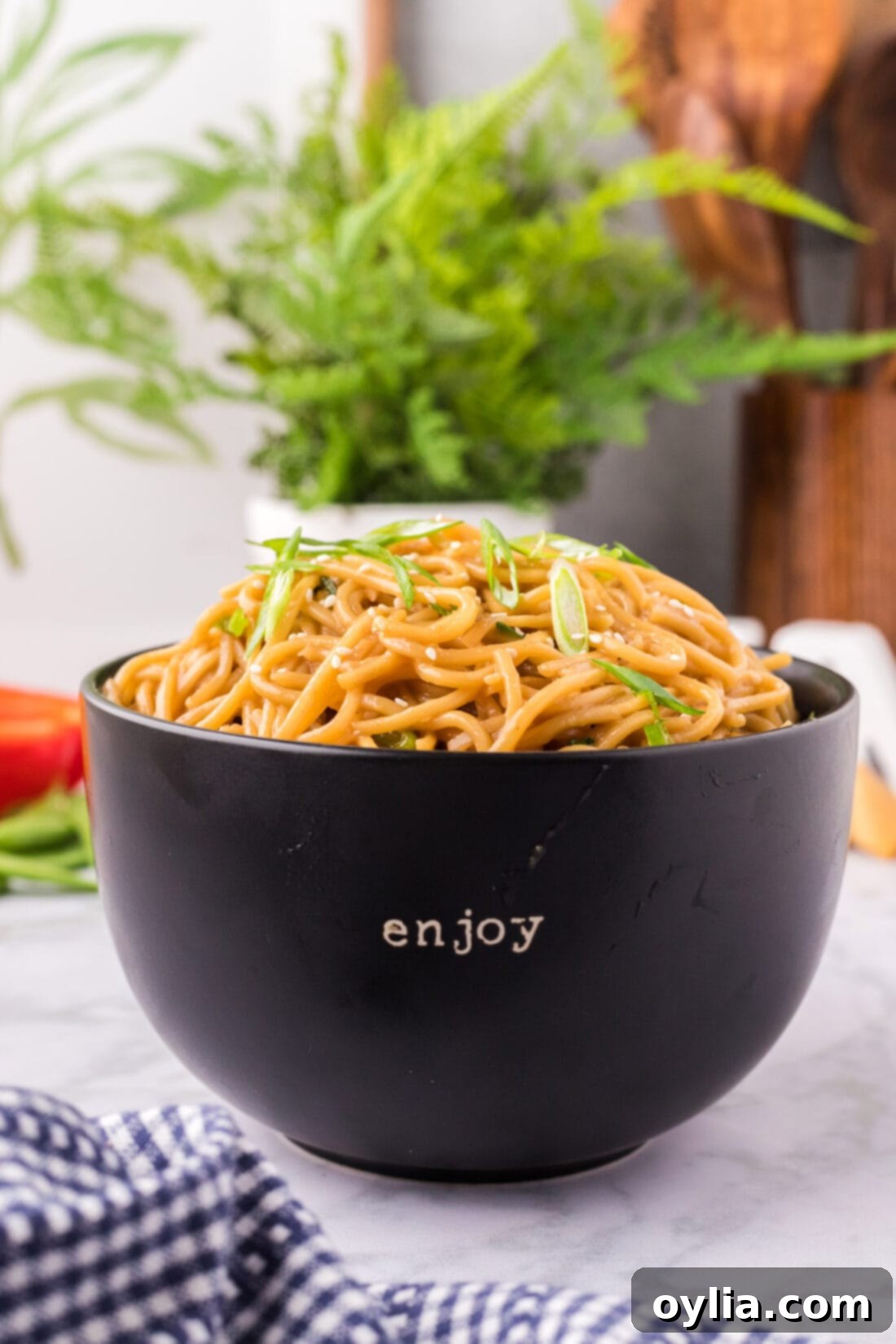Teriyaki Noodles in a bowl, ready to be served
