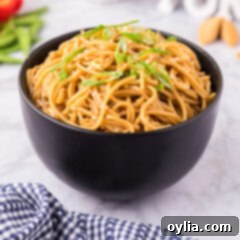 Bowl of Teriyaki Noodles