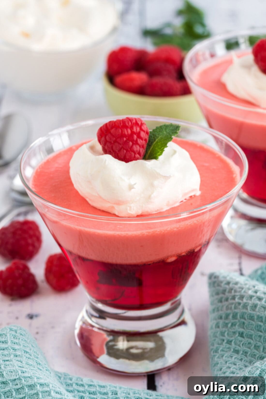 Close-up of a Raspberry Jell-O Parfait garnished with a fresh raspberry and a delicate mint leaf, highlighting the layers.