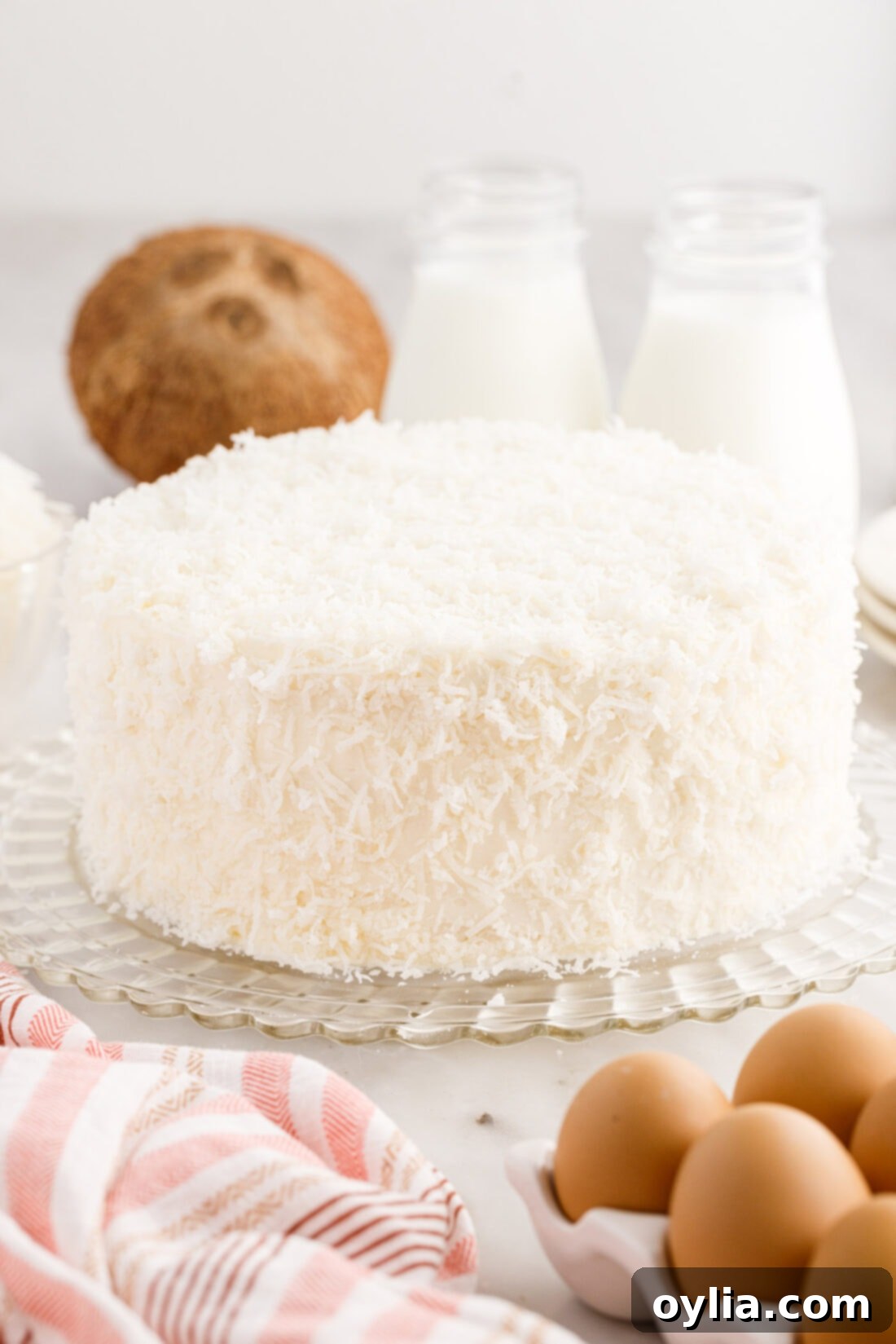 Coconut Cake 3 A beautifully frosted and decorated coconut cake resting on a pristine white cake plate, ready to be served.