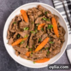 Sweet and Savory Korean BBQ Beef 12 A perfect bowl of Beef Bulgogi, garnished with fresh green onions and sesame seeds.