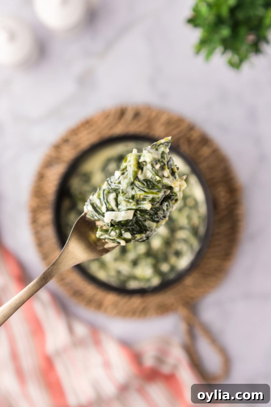 Decadent Creamed Spinach 11 Forkful of Creamed Spinach held above a bowl of Creamed Spinach