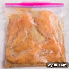 Honey Garlic Chicken Marinade in a zip top bag with chicken breasts