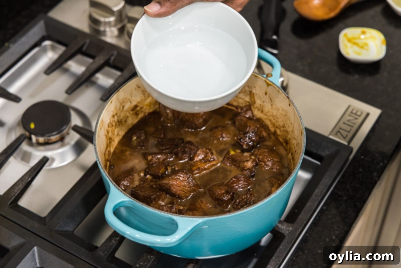 adding water to pot with cubed chuck roast and gravy ingredients