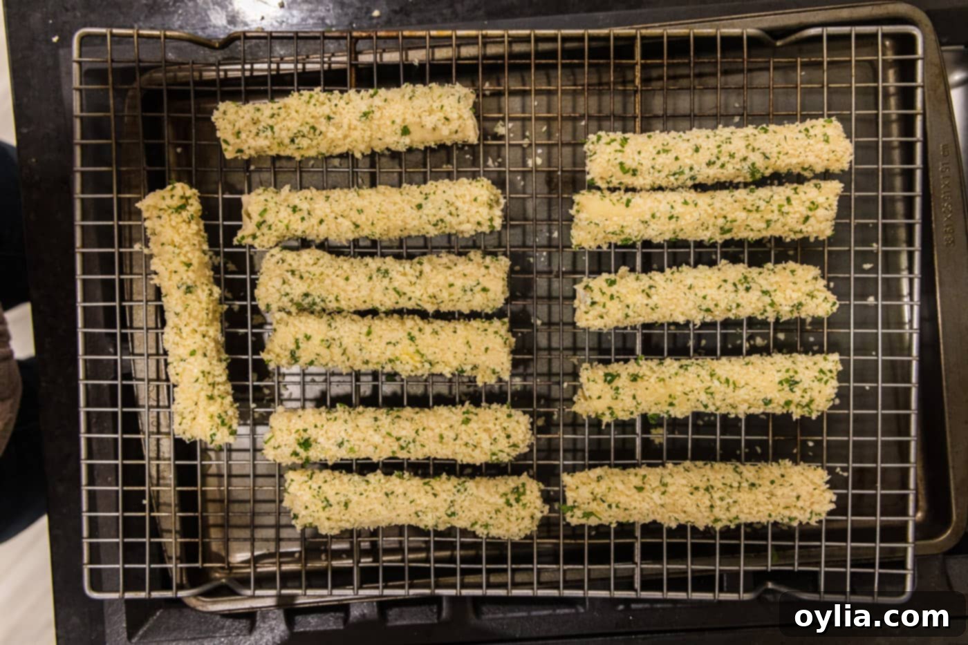 panko crusted wonton cheese sticks