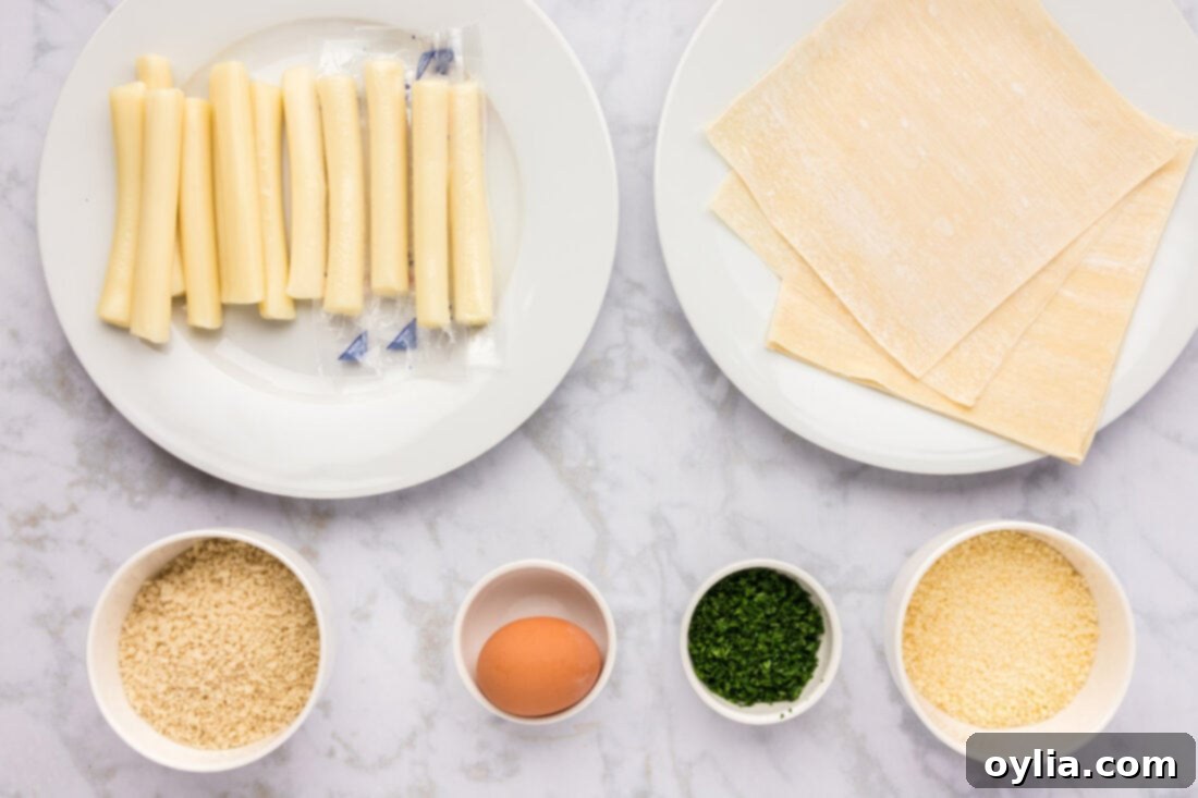 Ingredients for Wonton Cheese Sticks