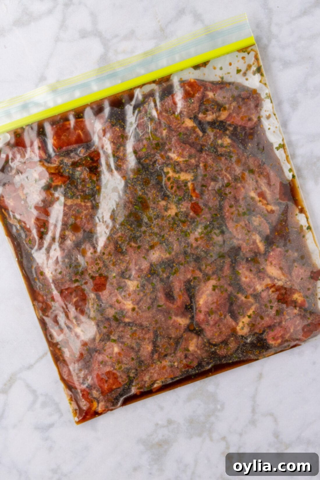 Fajita Marinade in a zip top bag