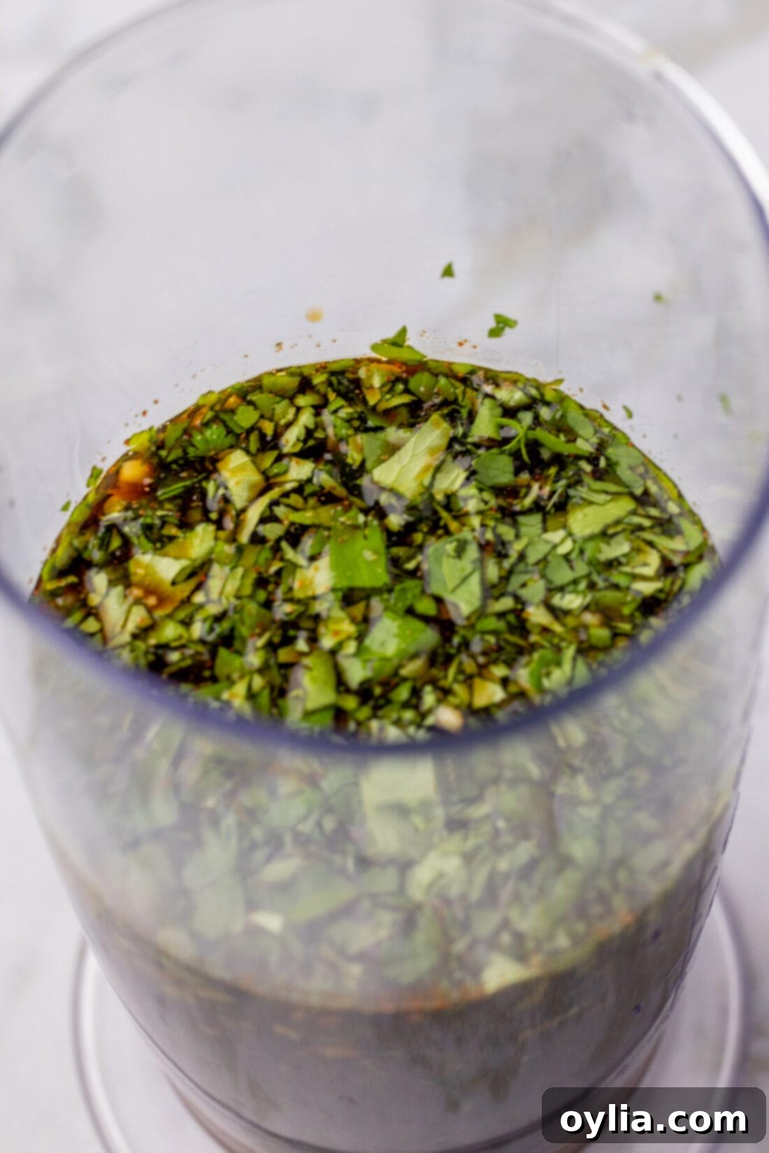 Close up photo of Fajita Marinade in a immersion blender cup