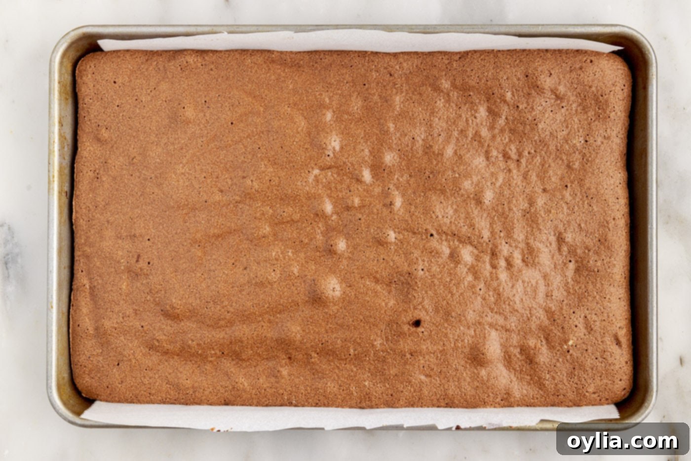 freshly baked swiss roll cake in the pan