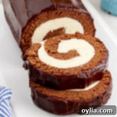 Decadent Chocolate Swirl 29 Close up photo of two slices of Chocolate Swiss Roll stacked on top eachother, highlighting the perfect spiral.