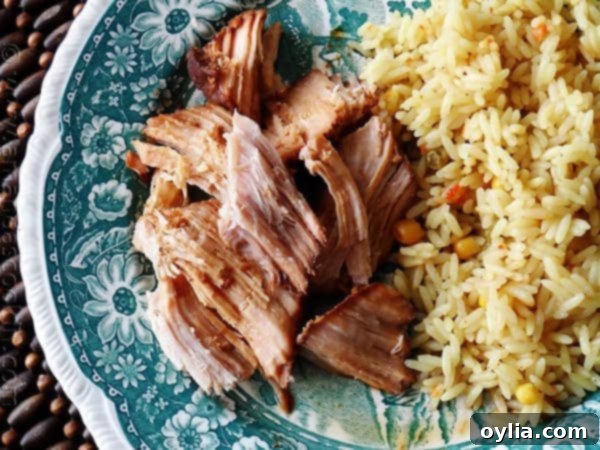 A close up overhead photo of a delicious Slow Cooker Oriental Pork Roast on a plate next to fluffy rice, ready to be served.
