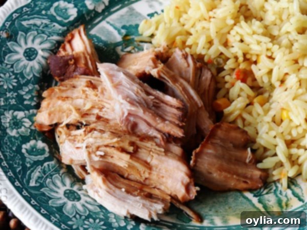 A close up photo of the Slow Cooker Oriental Pork Roast being served with a side of rice, highlighting its appealing presentation.