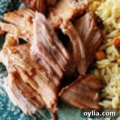 Slow Cooker Asian Pork Roast 5 A close up photo of slow cooker oriental pork roast.