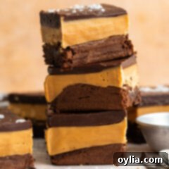 Ultimate Indulgence Brownies 22 Stack of Millionaire Brownies