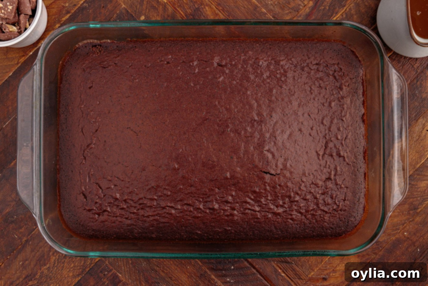Freshly baked chocolate cake in a 13x9 inch pan, cooling down.