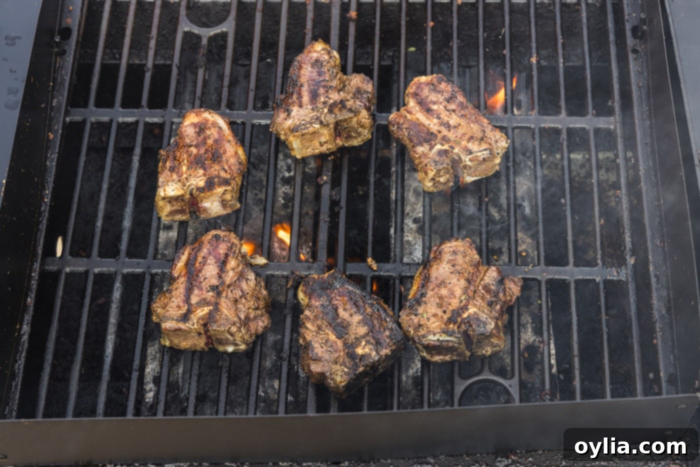 lamb loin chops on the grill