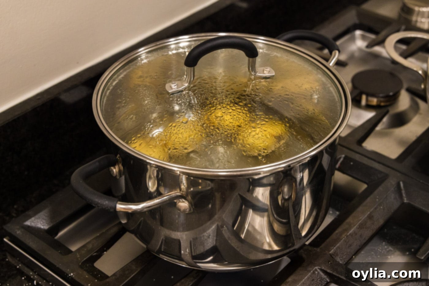 lid covering potatoes in a pot of water