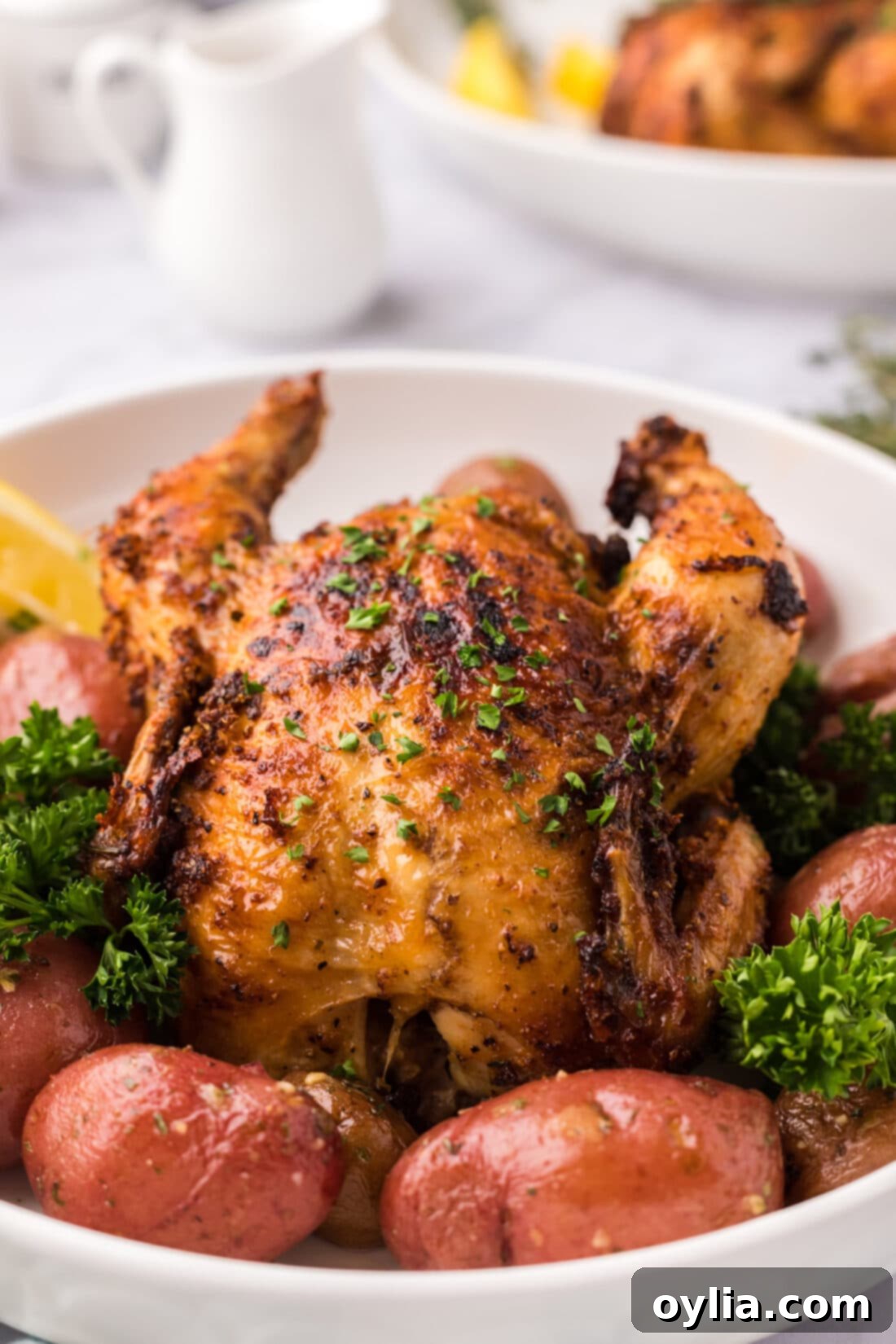 Close up photo of a Air Fryer Cornish Hen