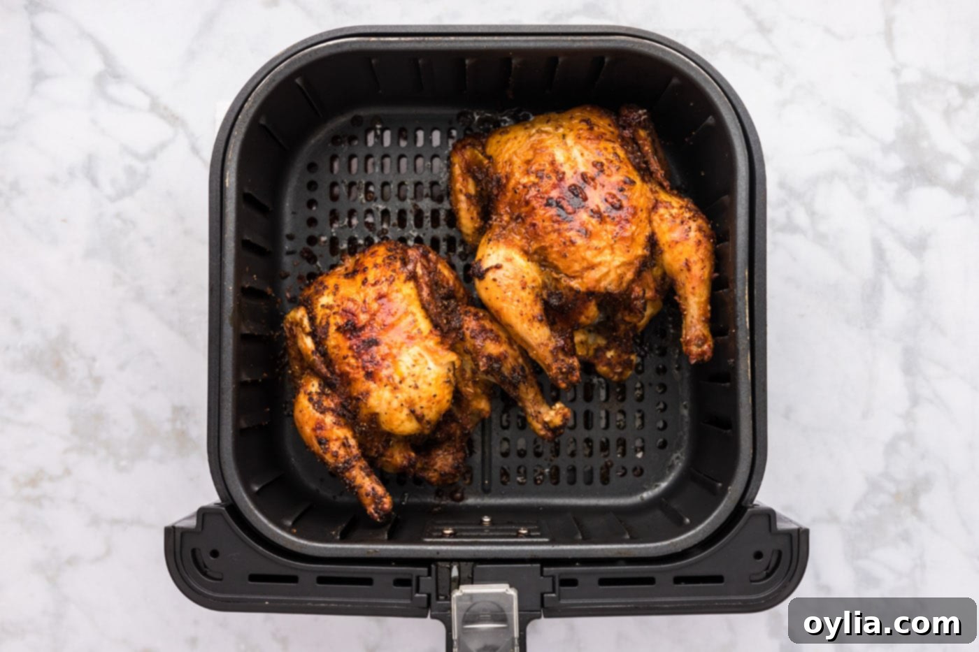 crispy air fryer cornish hens