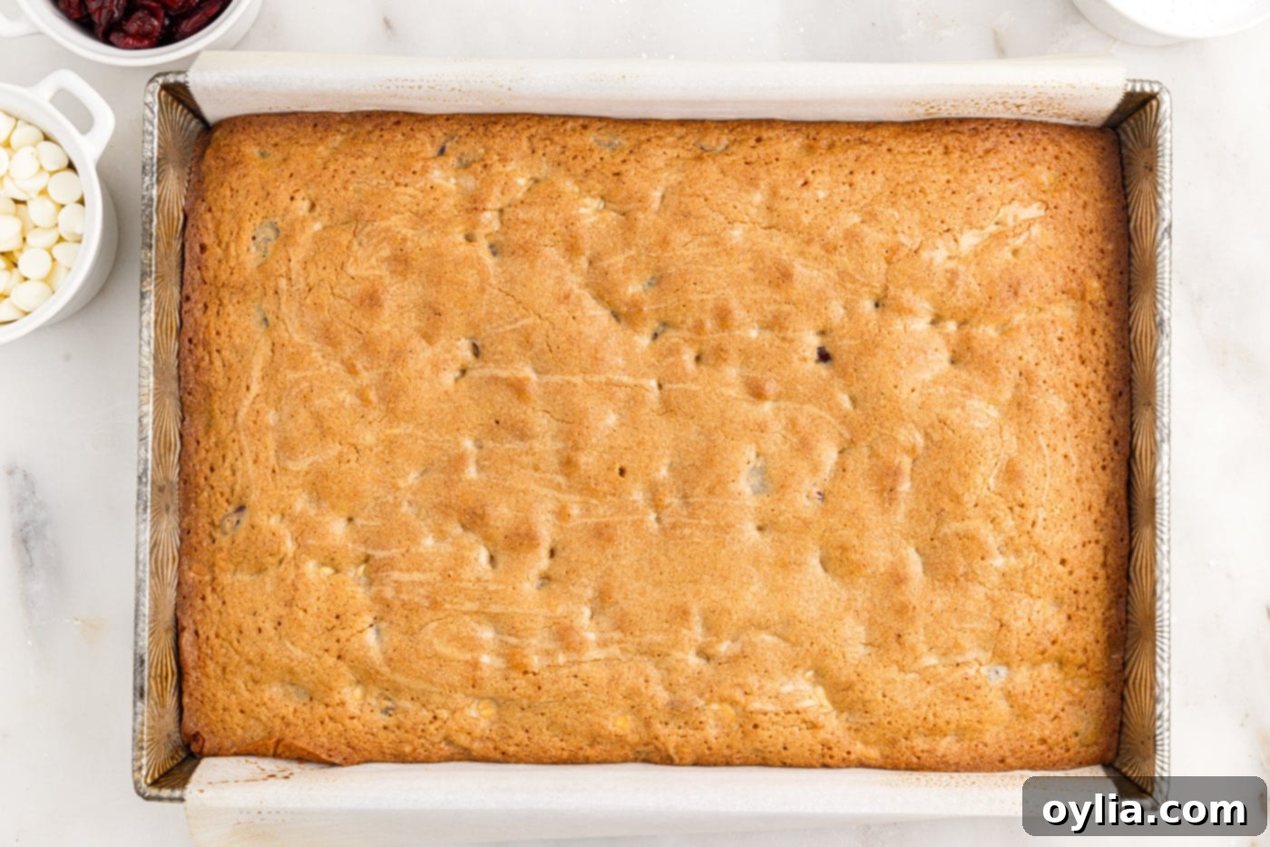 baked white chocolate cranberry blondies