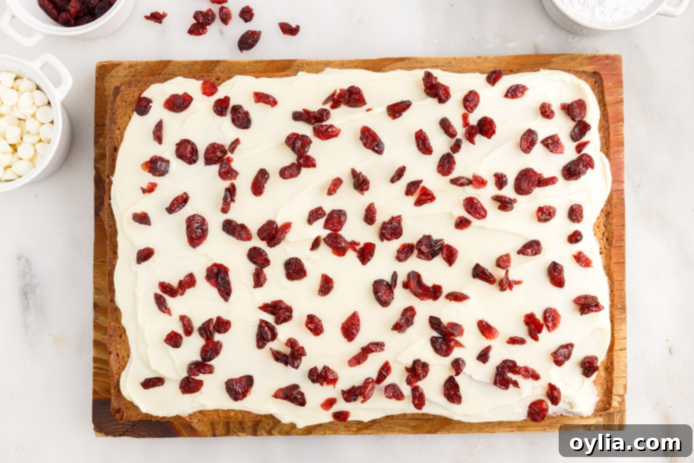 dried cranberries sprinkled over white chocolate cream cheese frosted blondies