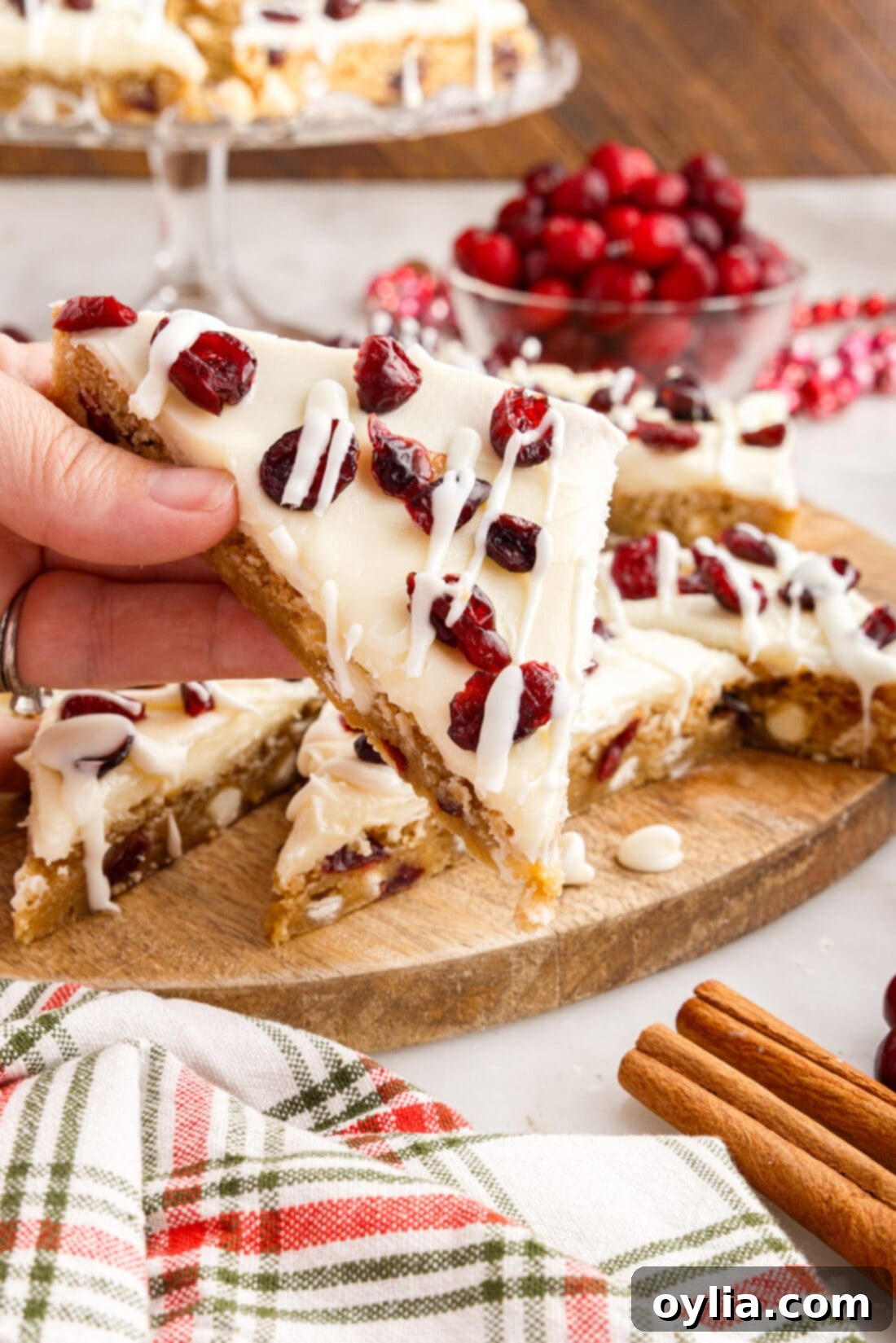 Hand holding a Cranberry Bliss Bar
