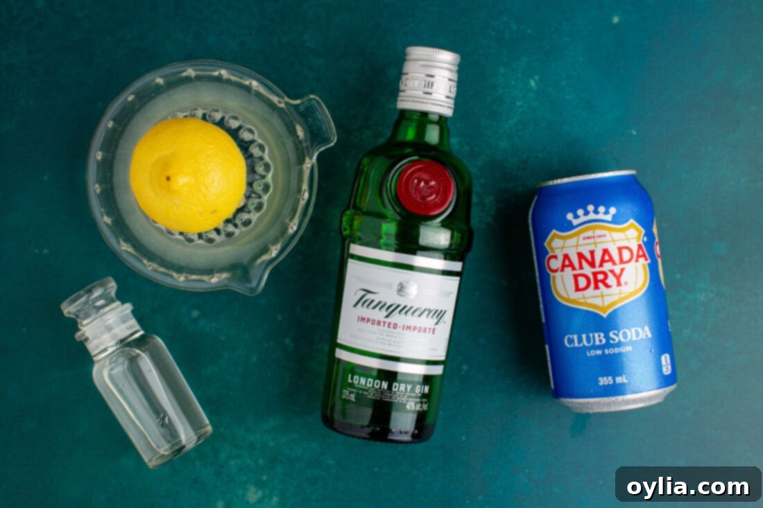 Ingredients for Tom Collins