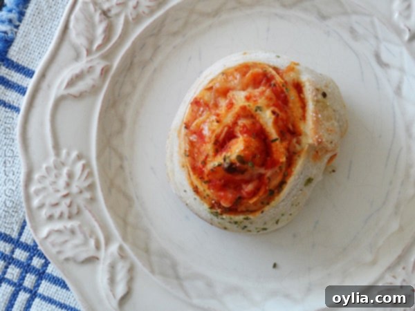 An inviting overhead view of a single pizza roll up resting on a plate, highlighting its perfect spiral and golden crust.