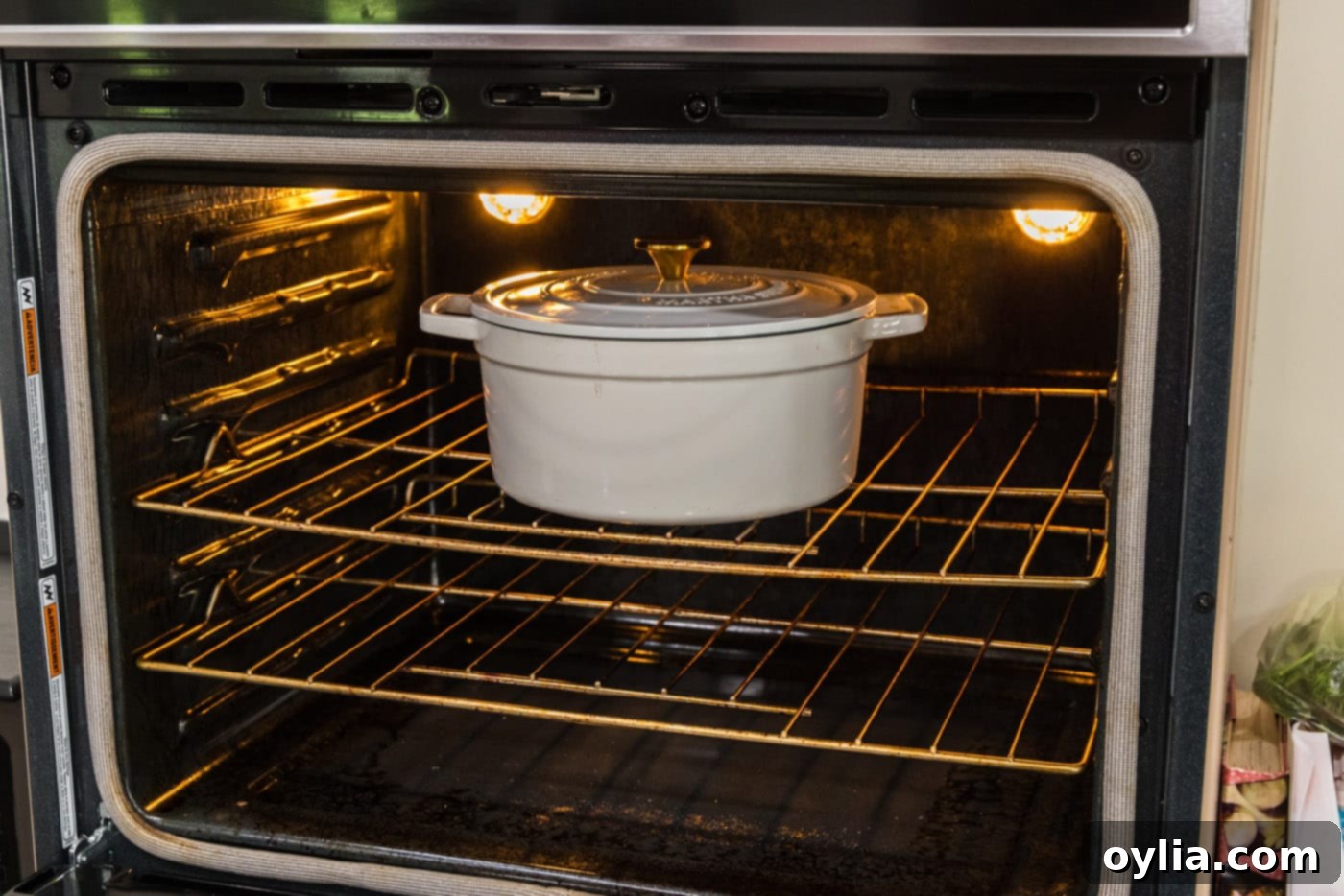 A covered Dutch oven containing braised beef short ribs, placed inside a preheated oven for slow cooking.