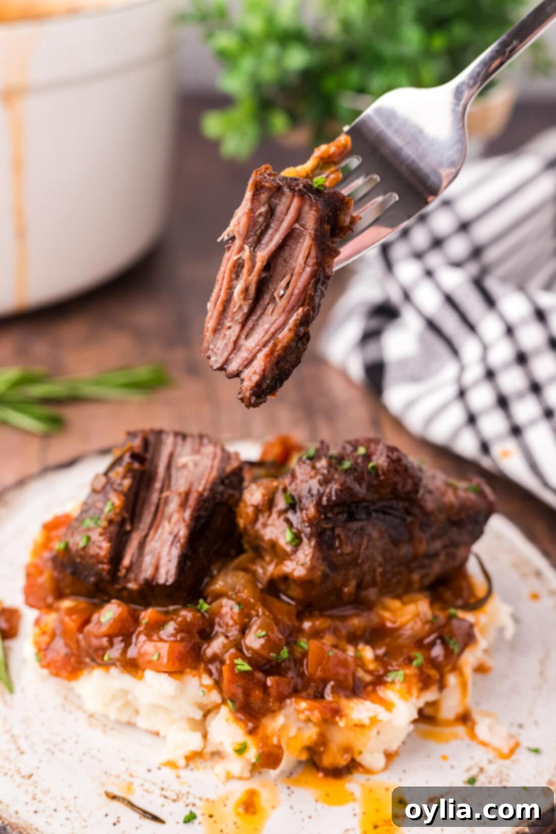 A single, succulent piece of braised beef short rib speared on a fork, ready to be enjoyed.