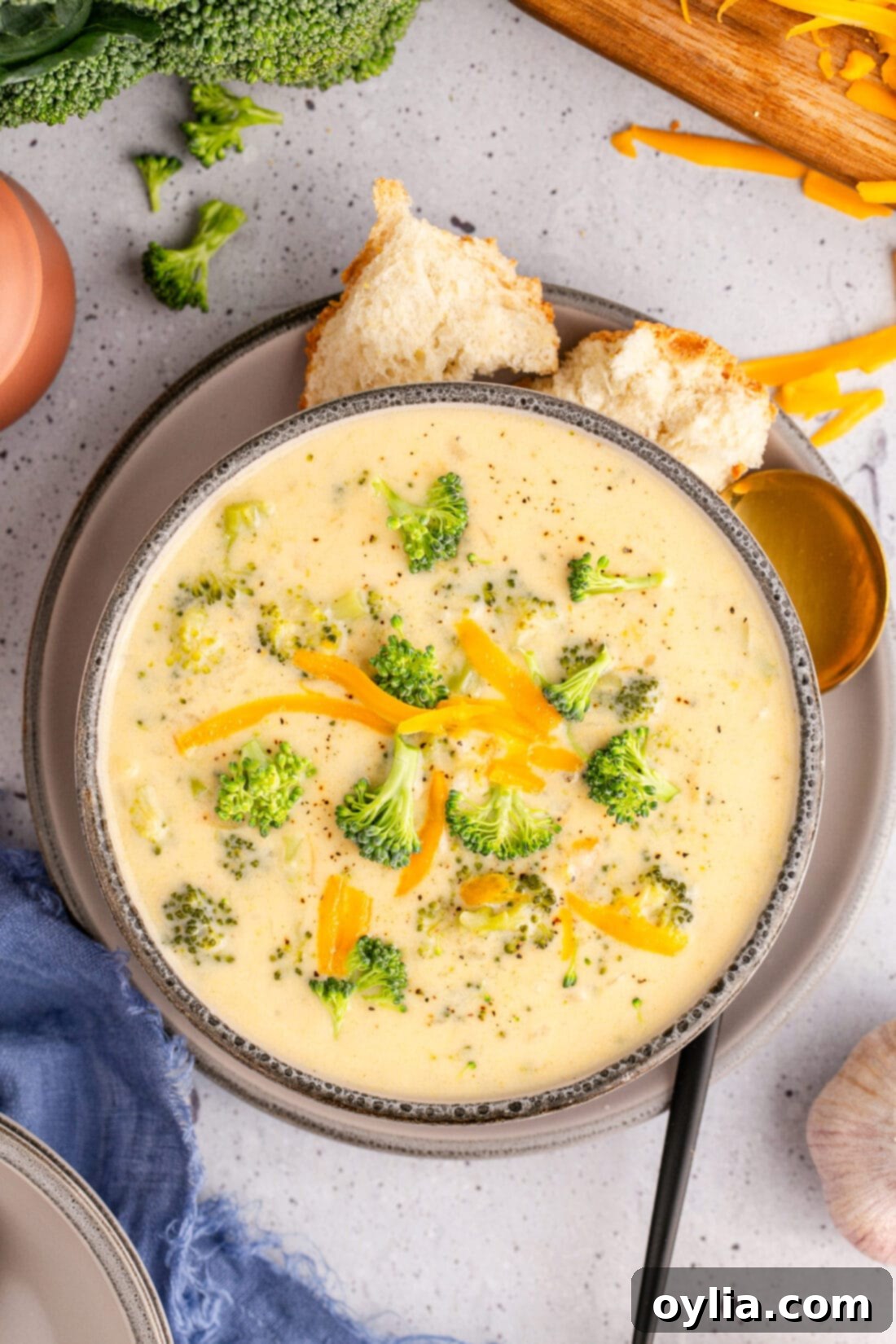 Overhead photo of a bowl of Instant Pot Broccoli Cheddar Soup with bread on the side
