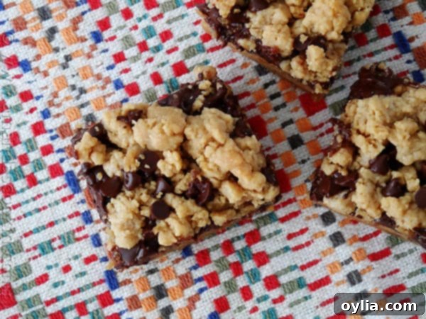 An overhead photo of peanut butter chocolate layer bars resting on a multicolored napkin.