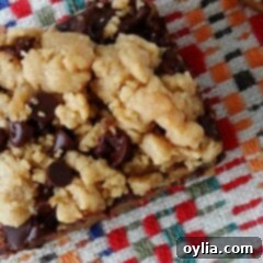 Heavenly Peanut Butter Chocolate Bars 9 A close up overhead photo of a peanut butter chocolate layer bar.